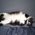 Kenny Everett Weld - Facebook