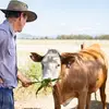 Kenneth George - @kennythefarmer_ - TikTok