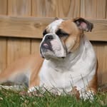 Elizabeth Fogleman Kennedy - @kennedysinlove - Instagram