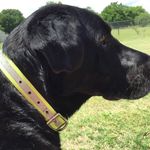 Kenny Fuller - @krfuller430 - Instagram