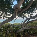 Kenny Gardner - @kennysfunpics - Instagram