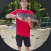 kenny_gill9 - @kenny_gill9 - TikTok