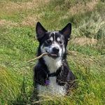 Kenny Gill - @kennygill_6 - Instagram