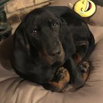 Kenny Goff - @ksparkyg - Instagram