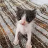 Kenny_gorebox - @kenny_gorebox - TikTok