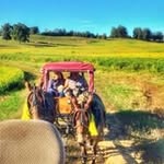 Kenny Gregory - @kennygregory2941 - Instagram