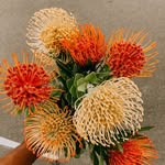 Kenny The Flower Guy - @kennytheflowerguy - Instagram