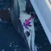 Kenny Hamilton - @kenny.hamilton30 - TikTok