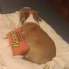 Kenny Hatfield - @kenny.hatfield5 - TikTok