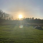 Kenny Hodges - @kenny_hodges1111 - Instagram
