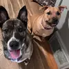 Kenny & Mable’s Human - @krissygirt04 - TikTok