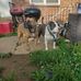 Kenny Hunter - Facebook