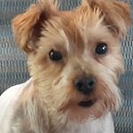 Kenny Ingram - @kenny.ingram57 - Instagram