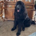 Kenny Barbi Inman - @kenny.inman.9 - Instagram