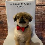 Kenny Jacobs - @kenny.jacobs - Instagram