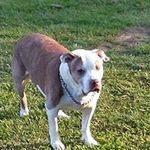 Kenny Lamb - @kenstockport - Instagram