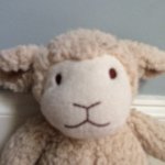 Kenny Lamb - @kennythelamb - Instagram