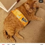 kenny logan - @kenny_logans - Instagram