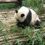 Kenny Luk - @kenny1962911 - Instagram