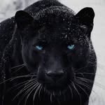 kenny Maestro - @kenny.maestro44 - Instagram