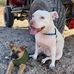Kenny Major - Facebook