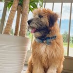 Kenny Maxwell - @kennybear03 - Instagram
