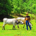 Kenny C. McClellan - @mcclellan___farms - Instagram