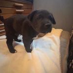 Kenny__melvin - @kenny__melvin - Instagram