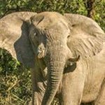 Kenny Meyer - @kmey357 - Instagram