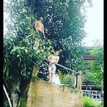 Kenny Moran - @kenny3288 - Instagram