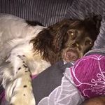 Kenny Murphy - @kennymurphy2400 - Instagram