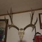 Kenny Nelson - @kenny.nelson.5243 - Instagram