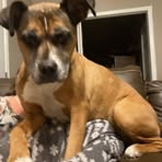 Kenny Nelson - Facebook