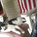 Kenny Patton - @kennypatton1 - Instagram