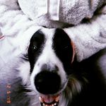 Kenny Pratt - @kenmac2020 - Instagram