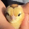 Kenny Rivera - @_kenny.rivera_ - TikTok