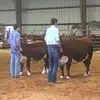 Kenny Roach - @kenny.roach6 - TikTok