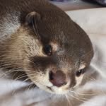 Kenny Roberts - @kenny17100 - Instagram