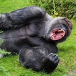 Kenny Sapp - @sapp5863 - Instagram
