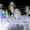 kenny Schmidt - @kenny.schmidt73 - TikTok