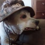 Kenny Sims - @kenny.sims.9619 - Instagram