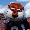 kennyspearman - @kennyspearman - TikTok