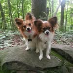 Kenny Stammen - @kennystammen - Instagram