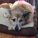 Kenny Tietz - @kennytietz6 - Instagram