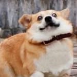 KennyTo - @kenny_to_ - Instagram