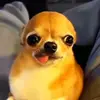 Kenny - @kennyvalle1 - TikTok