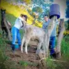 Kenny Valle - @kennyvalle19 - TikTok
