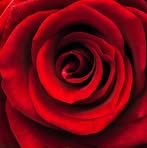 Kenny Vallejos - Facebook