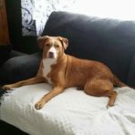 Kenny Walton - Facebook