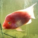 Kenny ware - @kennyware5274 - Instagram